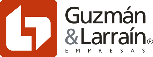 Guzmán y Larraín